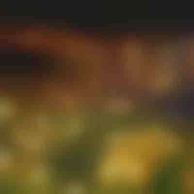 Solární světelný řetěz se 6 LED žárovkami | SOMPEX